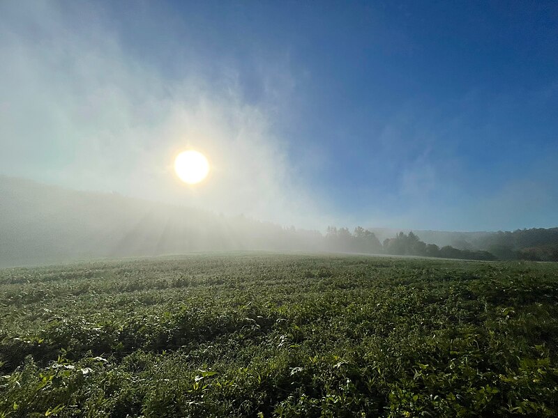 File:Morgennebel in der Sächsischen Schweiz 10 15 20 271000.jpeg