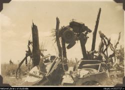 Este Jeep destrozado y ensartado en un árbol da una idea de la magnitud de la erupción.