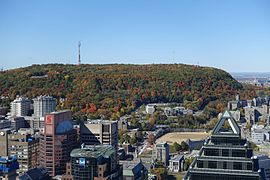 Novembre 2017 Le mont Royal, vu du sommet de la Place Ville Marie