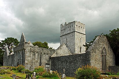 How to get to Muckross Abbey with public transit - About the place