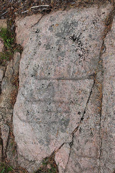 File:Munkedal foss 6-1 Lökeberg rock carvings ID 10154500060001 IMG 7935.JPG