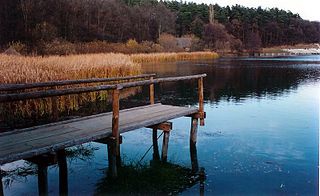 Dumbrava Sibiului Natural Park