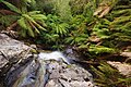 Myrtle Gully Waterfall, Myrtle Gully, Collinsvale, Tasmania, Australia