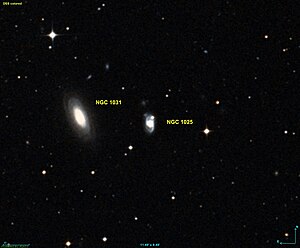 NGC 1031 & NGC 1025 [1]