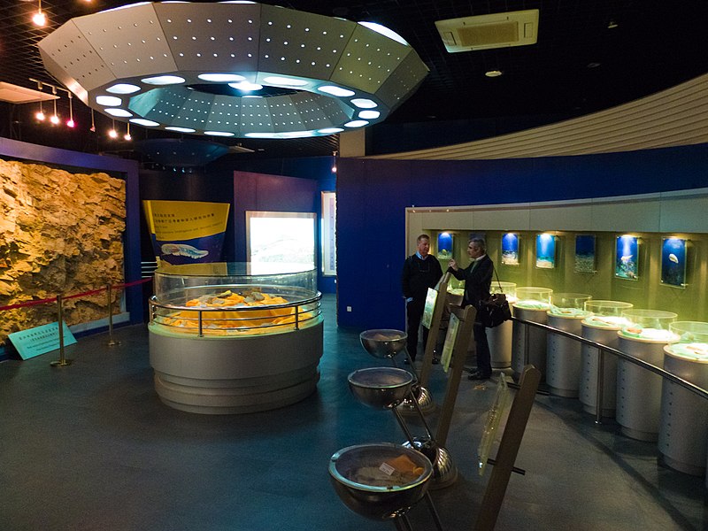 File:Nanjing Museum of Palaeontology, NIGPAS (F5213487766).jpg