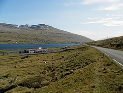 Nesvík Farski Otoci 2013.JPG