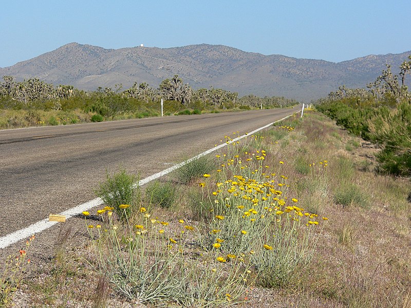 File:Nevada Route 164 near Crescent district.jpg