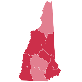 <span class="mw-page-title-main">1920 United States presidential election in New Hampshire</span> Election in New Hampshire