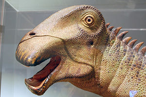 Nigersaurus Taqueti