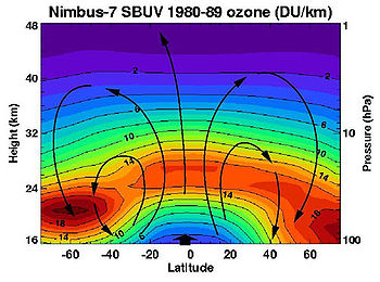 أيــن يتوزع الأوزون 350px-Nimbus_ozone_Brewer-Dobson_circulation