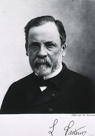 L. Pasteur