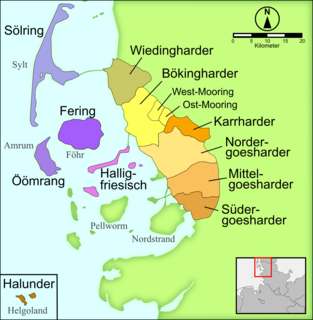 North Frisian language Minority language of Germany, spoken mostly by people in North Frisia