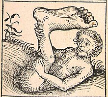A sciapod, described by Pliny in his Natural History, from the Nuremberg Chronicle (1493) Nuremberg chronicles - Strange People - Umbrella Foot (XIIr).jpg