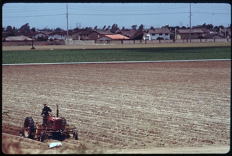 File:ONE OF A FEW REMAINING FARM FIELDS NEAR THE OCEAN IN FAST GROWING ORANGE COUNTY. SOME 4 PERCENT OF THE STATE... - NARA - 557476.jpg