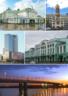 Omsk Collage 2016.png