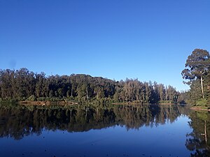 Ooty Lake