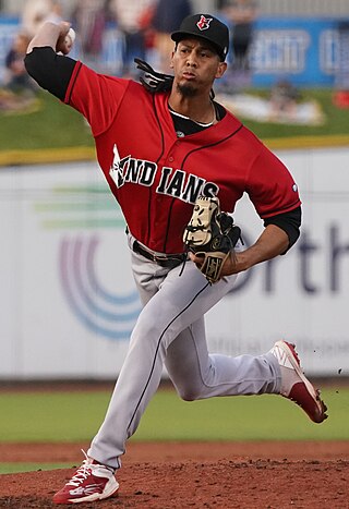 <span class="mw-page-title-main">Osvaldo Bido</span> Dominican baseball player (born 1995)