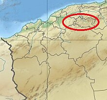 Ouarsenis Algeria northwest relief location map.jpg