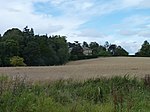 Over Rankeilour House (geograph 4133264).jpg