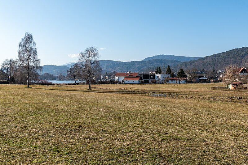 File:Pörtschach Goritschach Seeuferstraße 44 Buberle Moos 05032023 3588.jpg