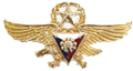 Odznak PAF Gold Wings.png