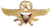 PAF Gold Wings Badge.png