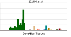 PBB GE DKK3 202196 s ĉe tn.png