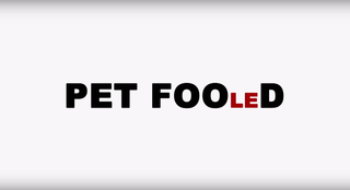 <i>Pet Fooled</i> 2016 film
