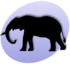 P Elephant.png