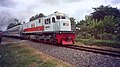 Kereta api Pandanwangi meninggalkan Stasiun Banyuwangi Kota menuju tujuan akhir Stasiun Ketapang.