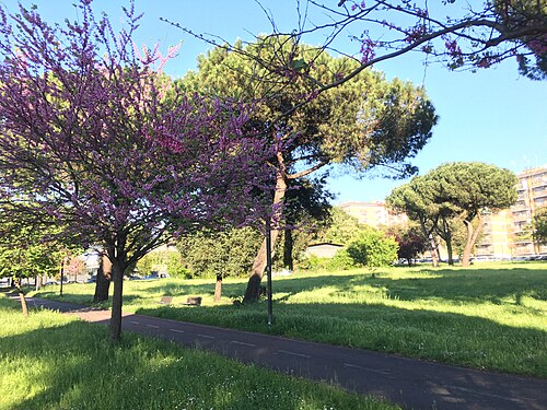 Park of the Solidarietà in Rome