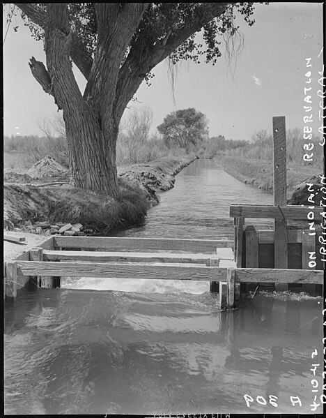 File:Parker, Arizona. "The land is plentiful. But the water is scarce". Irrigation canals, such as tha . . . - NARA - 536248.jpg