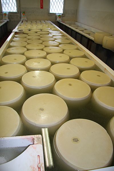 File:Parmigiano reggiano 5.JPG