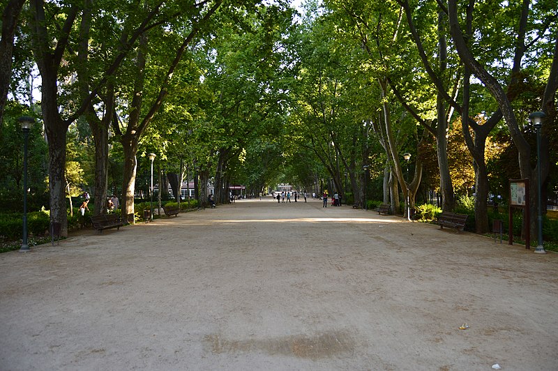 File:Paseo Central del Parque Abelardo Sánchez. Centro. Albacete.jpg