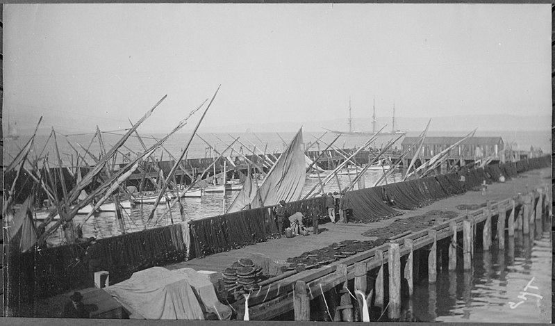 File:Photograph of Fisherman's Wharf in San Francisco, California, ca. 1891 - ca. 1891 - NARA - 513106.jpg