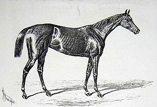 <span class="mw-page-title-main">Pilgrimage (horse)</span> British Thoroughbred racehorse