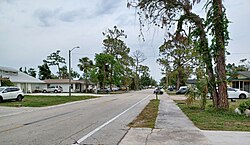 Skyline of Pine Manor