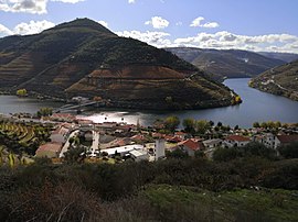 Part of the landscape of Pinhão, which motivated the classification parts of Alijó as UNESCO World Heritage Site
