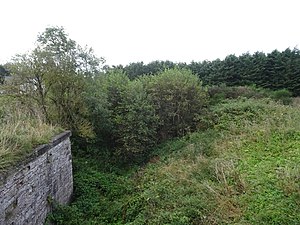 Plaidy railway station (site), Aberdeenshire (geograph 6260460).jpg