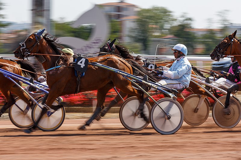 File:Prix du Comité Régional du Sud-Ouest - Toulouse La Cépière, trot attelé 9041.jpg