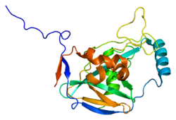 پروتئین NUDT21 PDB 2cl3.png