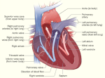 Vignette pour Hypertension artérielle pulmonaire