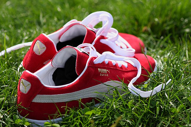 Buy Puma Anzarun 2.0 Unisex Red Sneakers Online-thephaco.com.vn