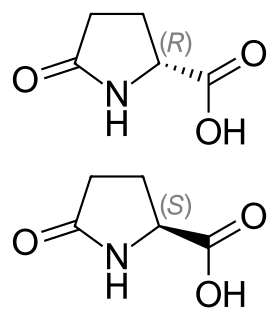 Pyroglutamic acid Chemical compound