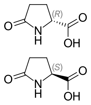 <span class="mw-page-title-main">Pyroglutamic acid</span> Chemical compound
