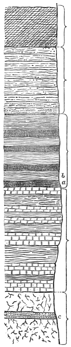 Quarterly Journal of the Geological Society of London, Volume 33, 0558.png