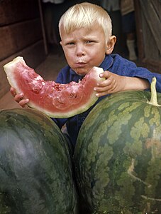 English: Boy eating a watermelon Русский: Мальчик ест арбуз