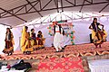 Rajasthani Folk Dance Performance