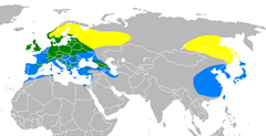 Разпространение на елшова скатия (жълто - през лятото, зелено - целогодишно, синьо - през зимата)