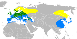 razširjenost rumena:poleti; zelena:stalnica; modra:pozimi